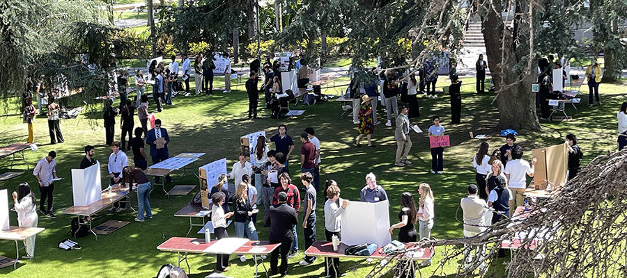 Poster session in action